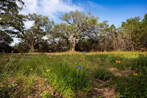 Unrestricted Acreage with Building Envelope