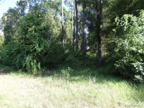 Commercial Land on Dunnellon's West