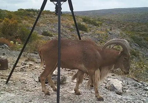 Del Rio Acreage with Canyon Views