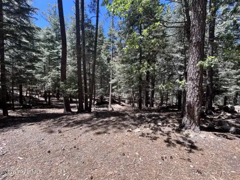 Mountain Summit Residential Land Parcel