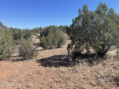 Seligman, AZ Land For Sale