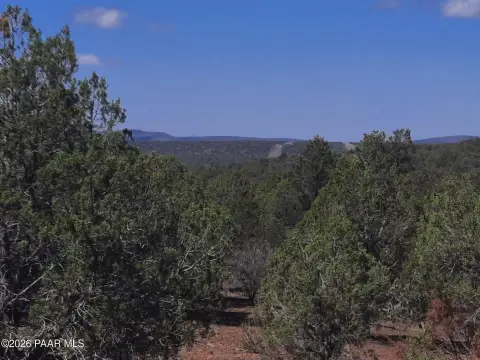 Untamed Northern Arizona Mountain Land