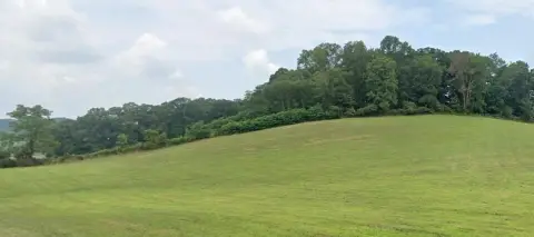 Wooded Residential Lot Opportunity