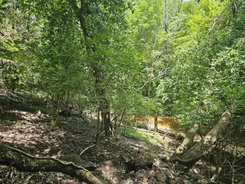 Secluded 7-Acre Residential Land
