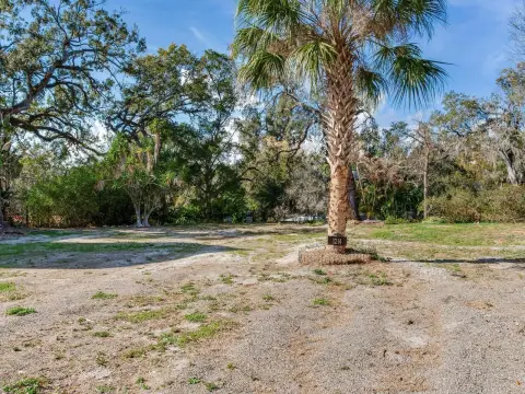 Tampa Riverfront Homesite Opportunity