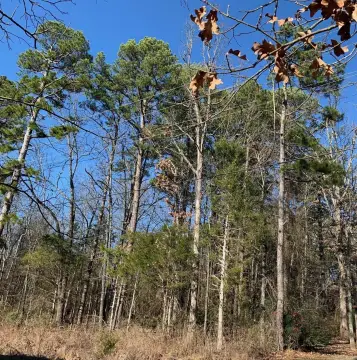 Residential Lot in Heber Springs