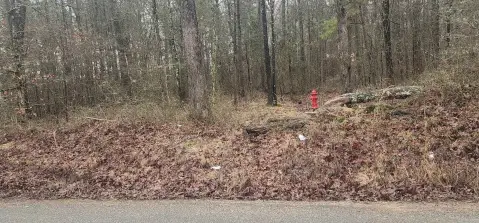 Land in Quiet Country Setting