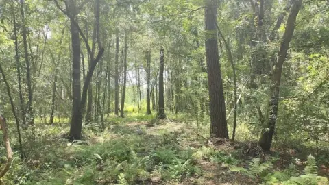Residential-Agricultural Land Lot