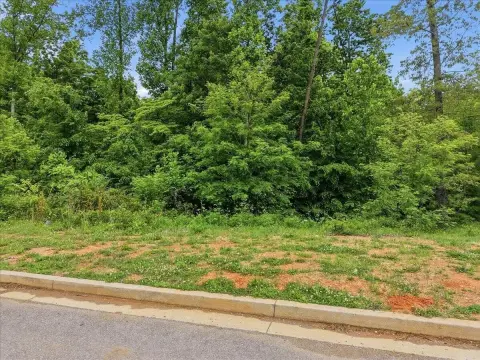 Residential Land in Morristown, TN