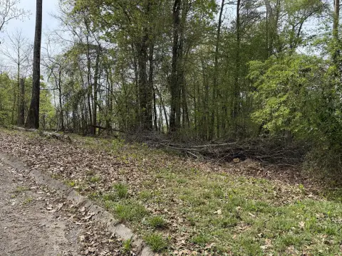 Scenic River View Building Lot