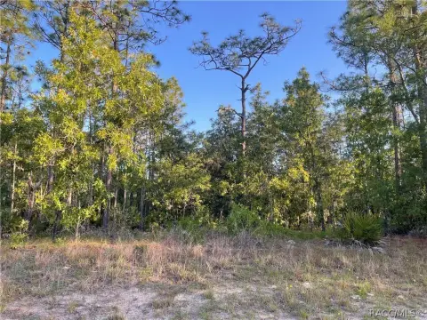 Beverly Hills Homesite with Horse Trails