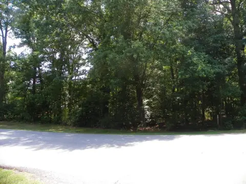 Waterfront Land with Lake Access
