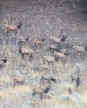 1920 Acres Hunting Land Block