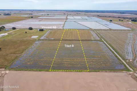 Agricultural Land