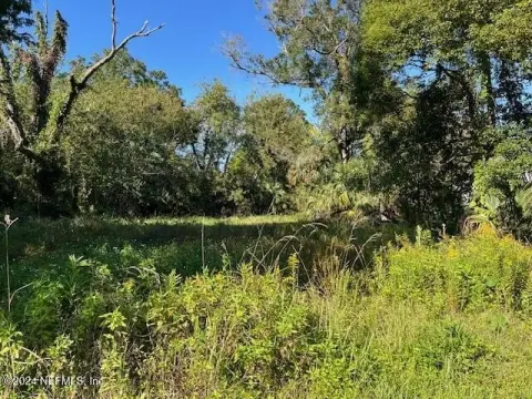 Double Lot in Jacksonville, FL