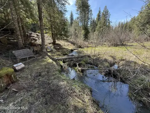Timbered Hunting Land with Creek