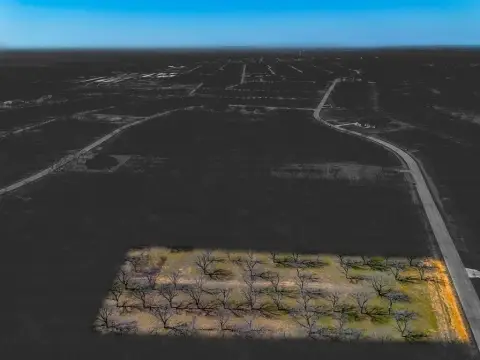 Granbury Land with Pecan Trees