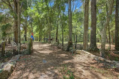 11-Acre Wildlife Paradise with Tiny House