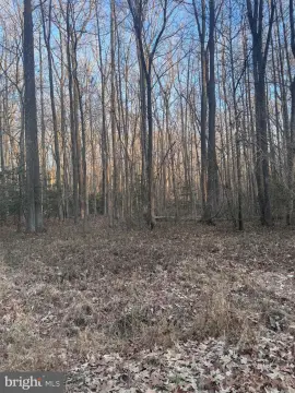 Land in Longview Beach Club