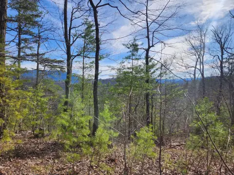 Sevierville Land in Gated Community