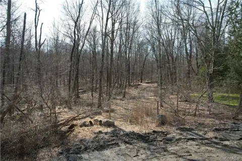 Mahopac Land For Sale