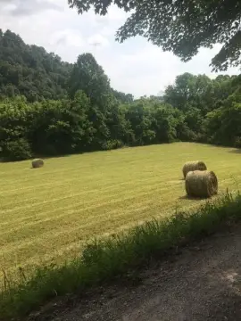 Riverfront Land in Tazewell, TN