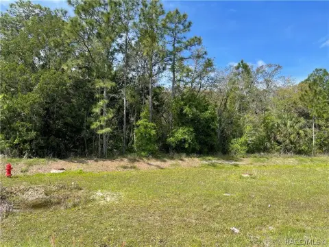 Homosassa, FL 4-Acre Land Parcel