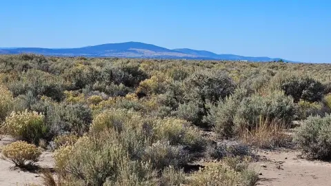 20 Acres in Christmas Valley
