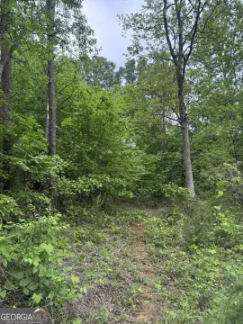 Toccoa, GA Residential Lot