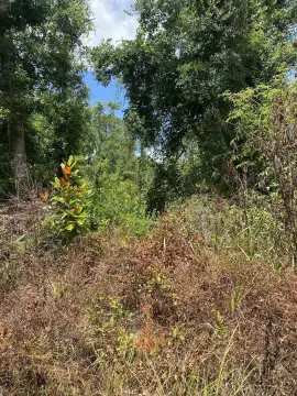 Greenville, FL Land For Sale