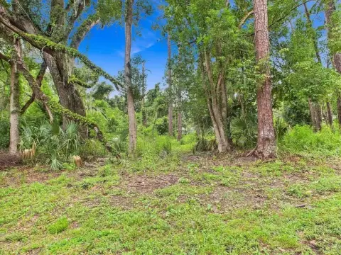 Perry, FL Land Opportunity