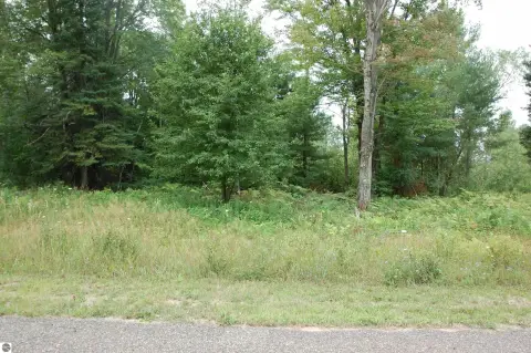 West Branch Wooded Lot For Sale
