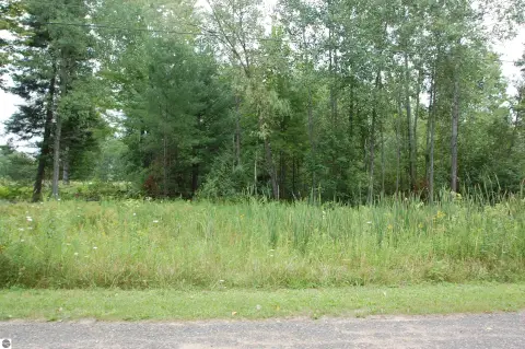 West Branch Wooded Lot