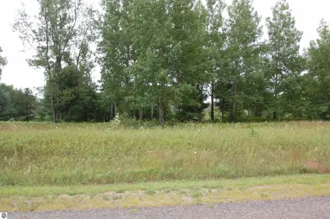 Residential Lot Near Rifle River