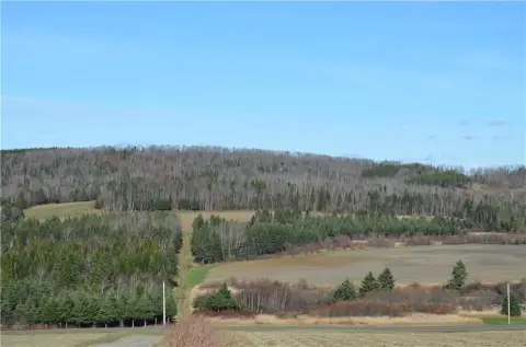 Agricultural Land Tract