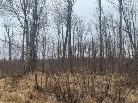 40 Acres in Ogema, WI