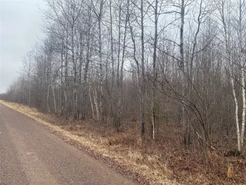 60 Acres of Land, Ogema