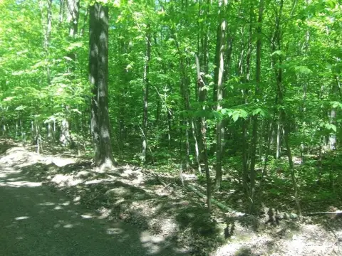 Recreational Land in Conrath, Wisconsin