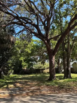 Residential Lot in St. Petersburg