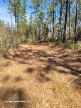 Tallahassee Land Near National Forest
