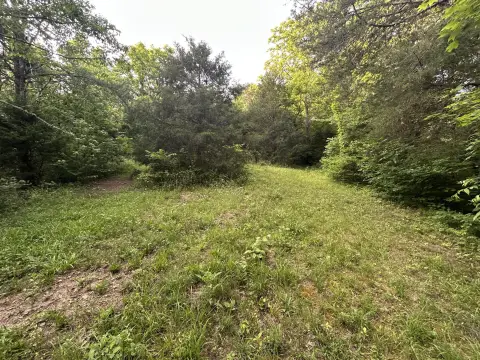 Secluded Wooded Acreage in Sneedville