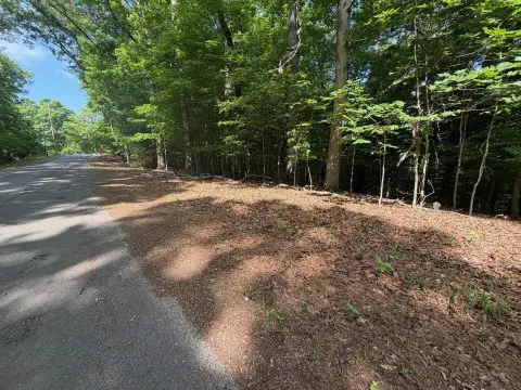 Residential Lot Near Douglas Lake