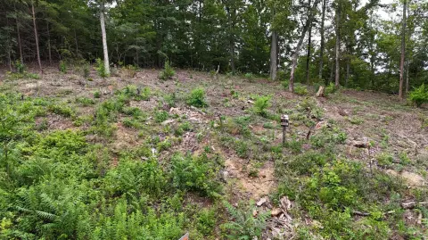 Cherokee Lake Gated Community Land