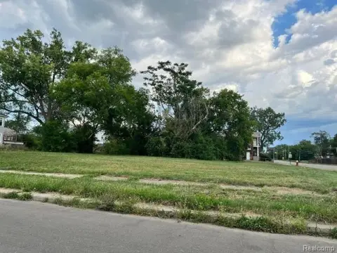 Detroit Vacant Land Opportunity