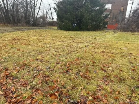 Detroit Land Opportunity: Seven Lots