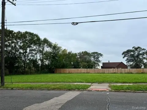 Detroit Land Infill Opportunity