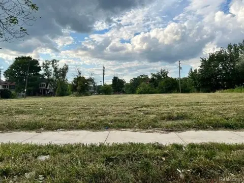 Detroit Vacant Land Opportunity