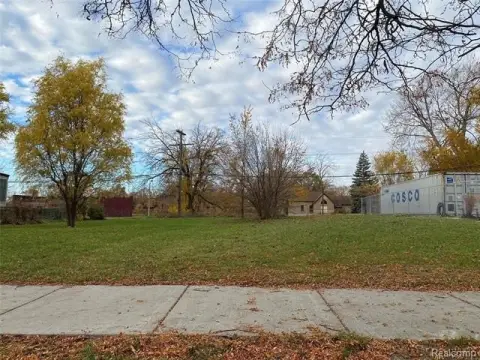 Detroit Vacant Land Opportunity