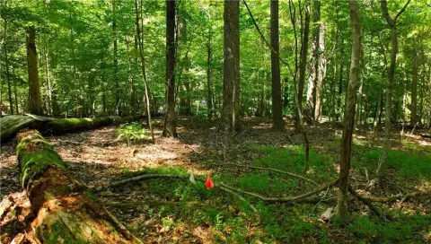 Residential Land in Established Community