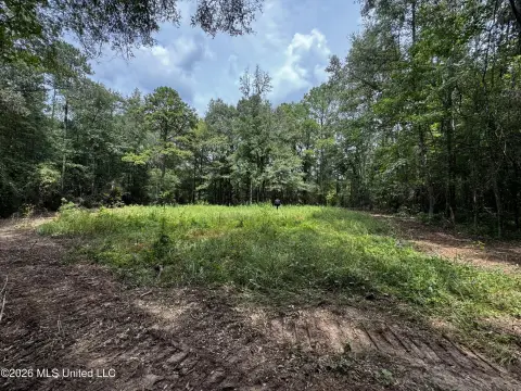Mature Timber Recreational Land